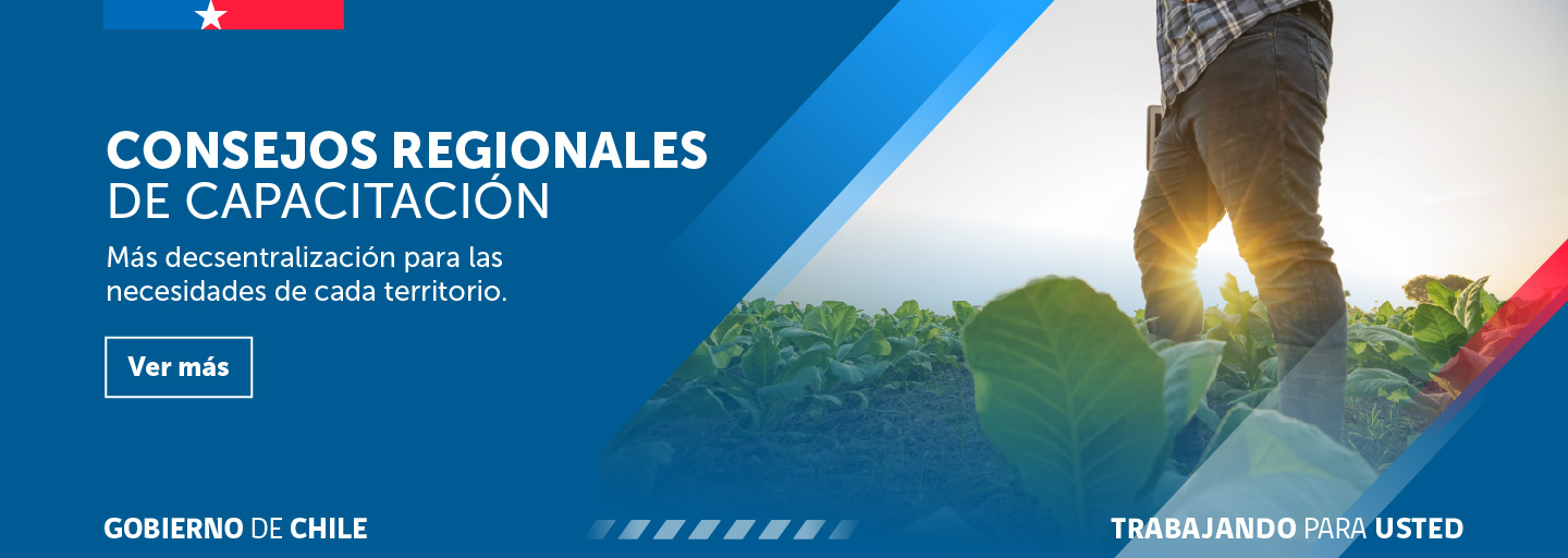 Consejos Regionales de Capacitación