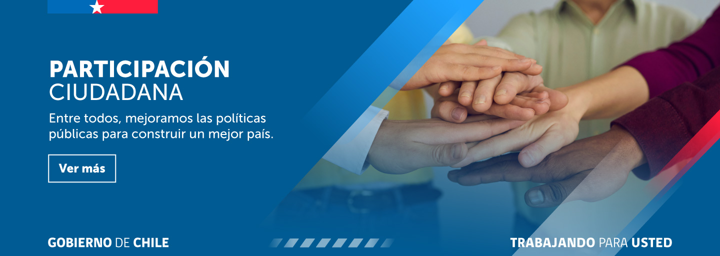 Participación Ciudadana