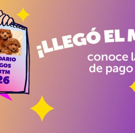 Estas son las fechas de pagos 2026 del Bono al Trabajo de la Mujer y Subsidio al Empleo Joven