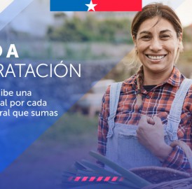 Subsidio a la contratación, línea Activación Laboral. Postule AQUÍ