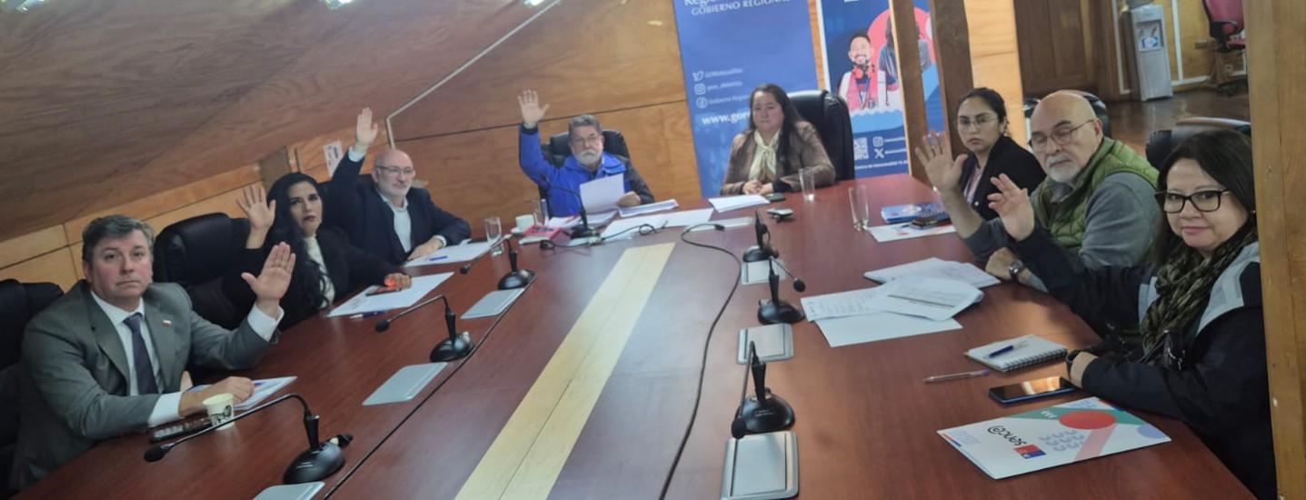 Consejo Regional de Capacitación de Los Ríos aprobó Plan Regional de Capacitación 2026 