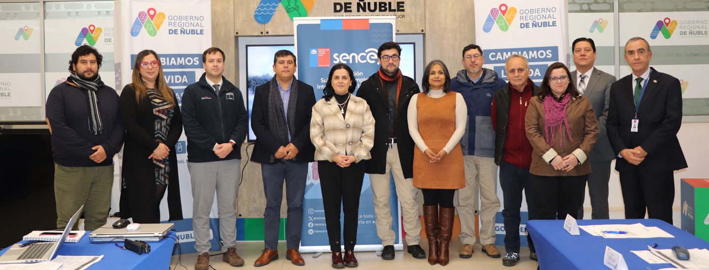 Consejo de Capacitación de Ñuble aprueba 28 cursos para impulsar el empleo regional