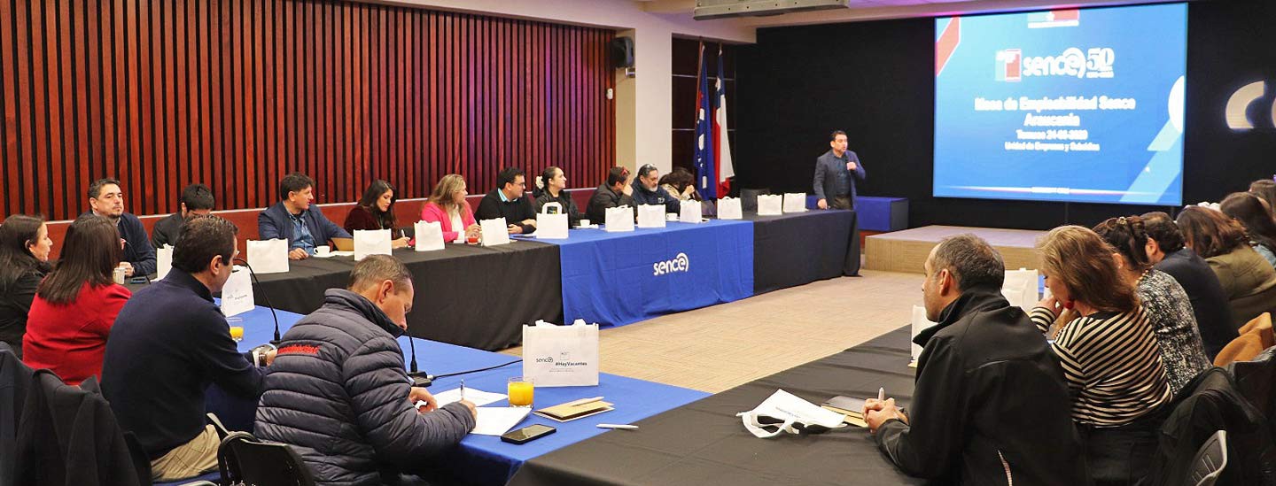 Director Nacional (s) del Sence encabeza Mesa de Empleabilidad que proyecta nuevas oportunidades laborales para La Araucanía
