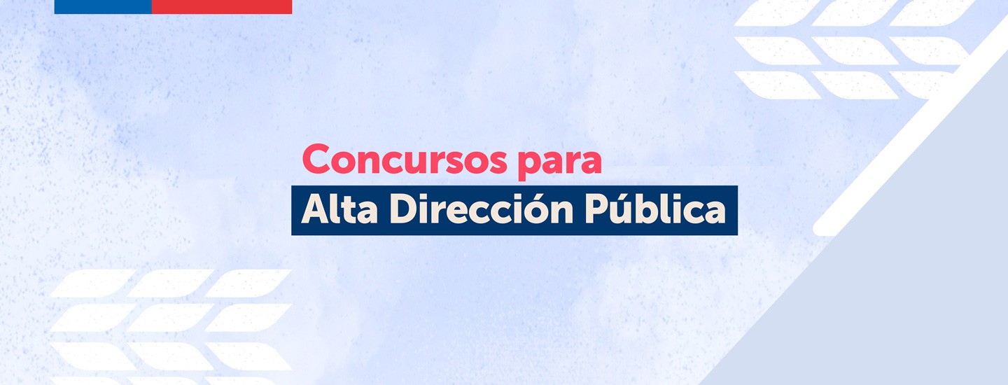 Concurso público para director/a regional del Sence Arica y Parinacota y Magallanes y Antártida Chilena