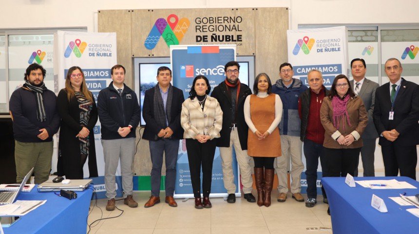 Consejo de Capacitación de Ñuble aprueba 28 cursos para impulsar el empleo regional